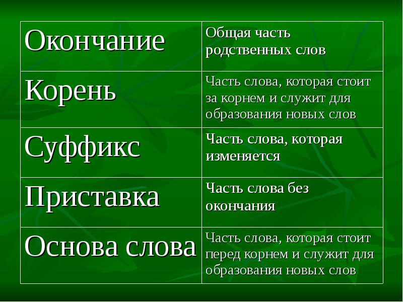 Глагол по схеме приставка корень суффикс окончание