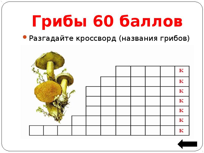 Своя игра по биологии 5 класс презентация с ответами и вопросами