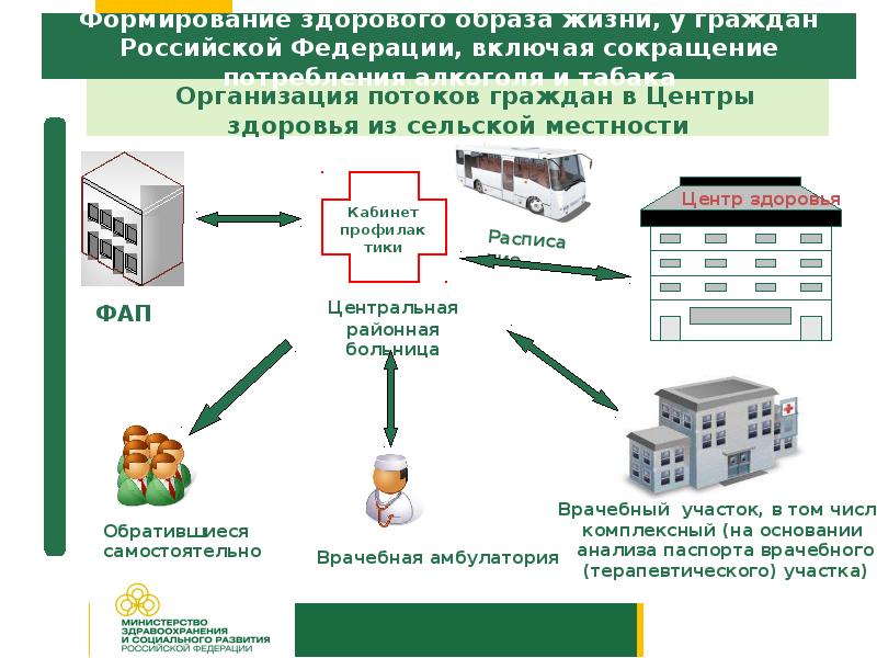 Организация работы центра здоровья схема