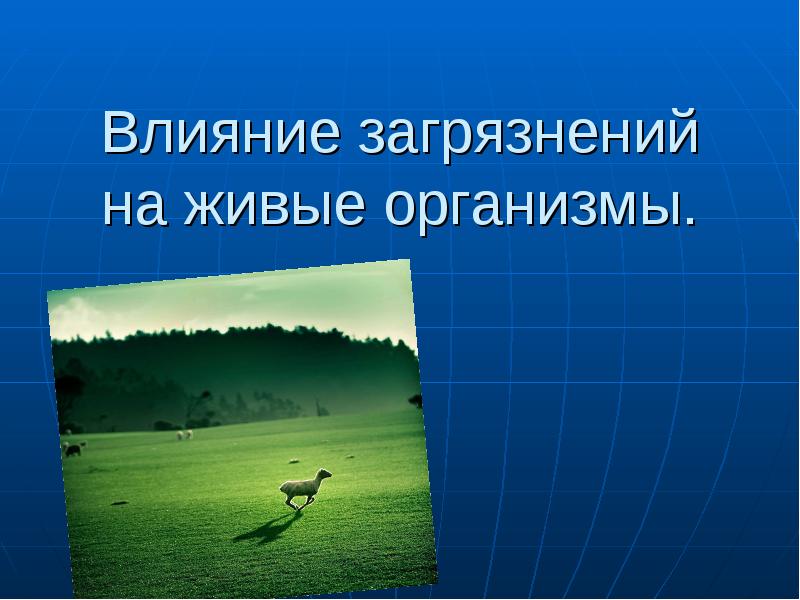 Влияние загрязнений на живые организмы презентация 11 класс