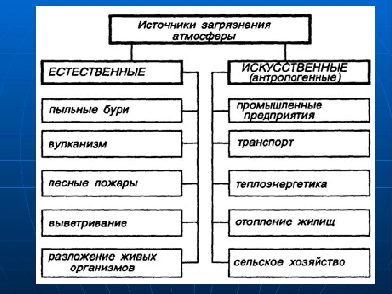 Влияние загрязнений на живые организмы презентация 11 класс