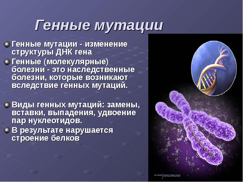 Наследственные болезни человека проект