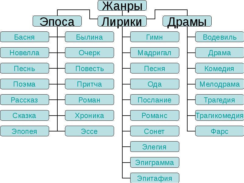 Авторы очерков схема