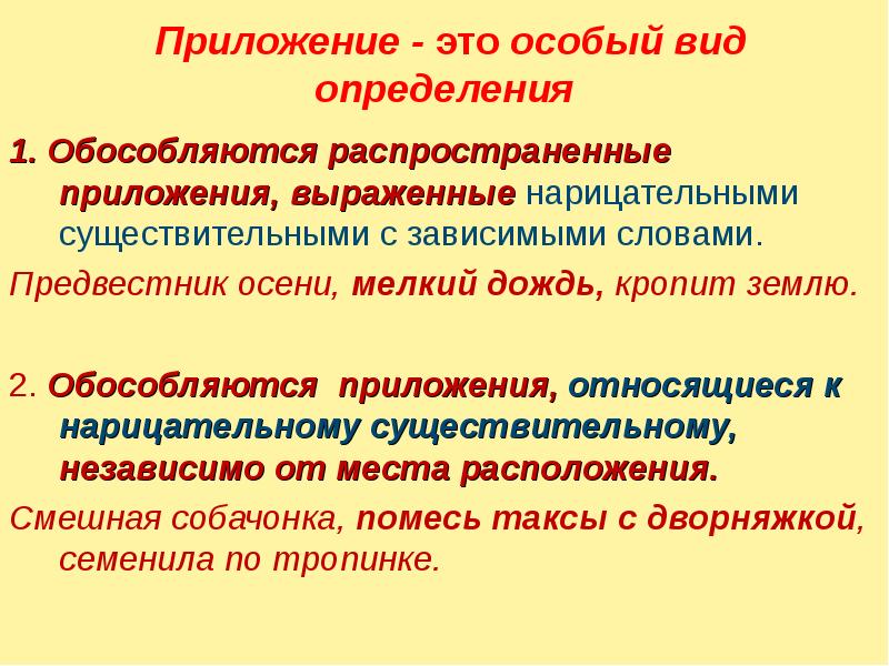 По перед определяемым словом обособляется. Приложение определение. Приложение в русском языке. Приложение как особый вид определения. Предложения с обособленными приложениями.