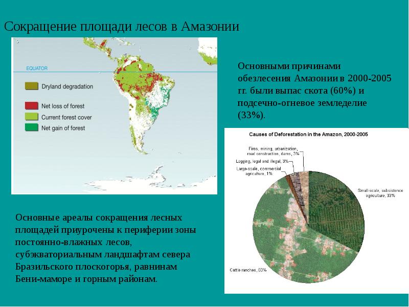 Обезлесение карта мира