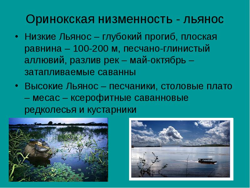 Оринокская низменность находится