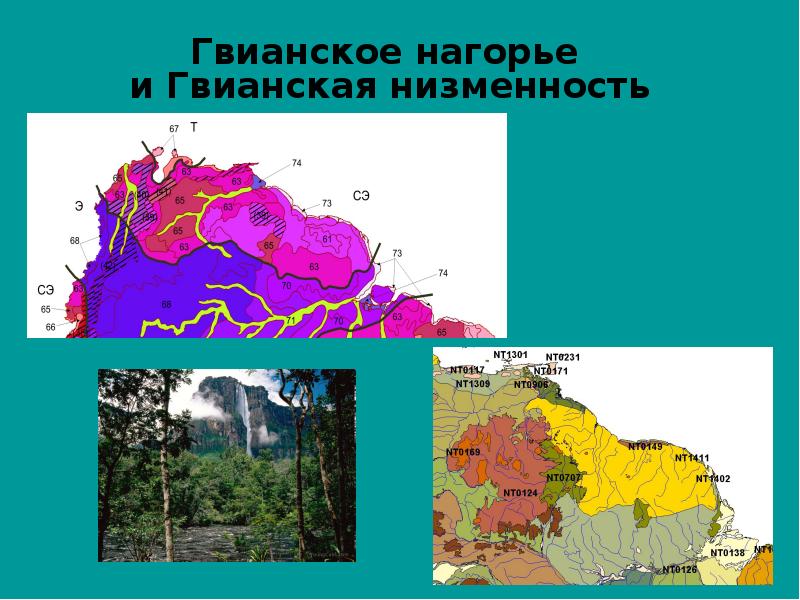 Гвианское низменность