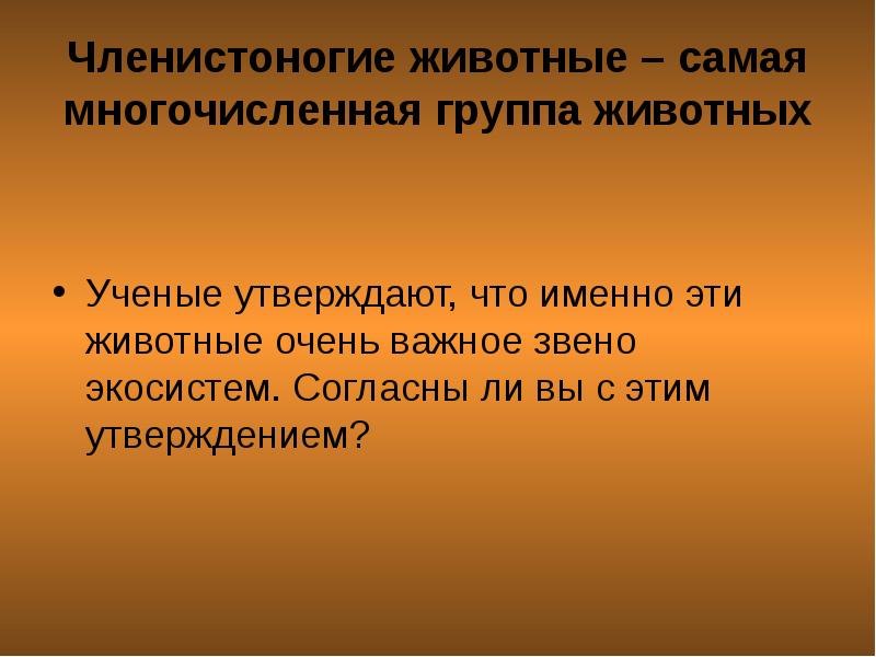 Самая многочисленная в мире группа животных это. Самая многочисленная группа животных.