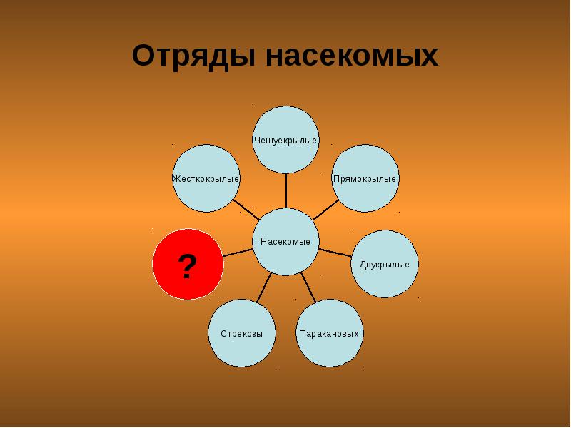 Самая многочисленная в мире группа животных это. Самая многочисленная группа животных на земле.