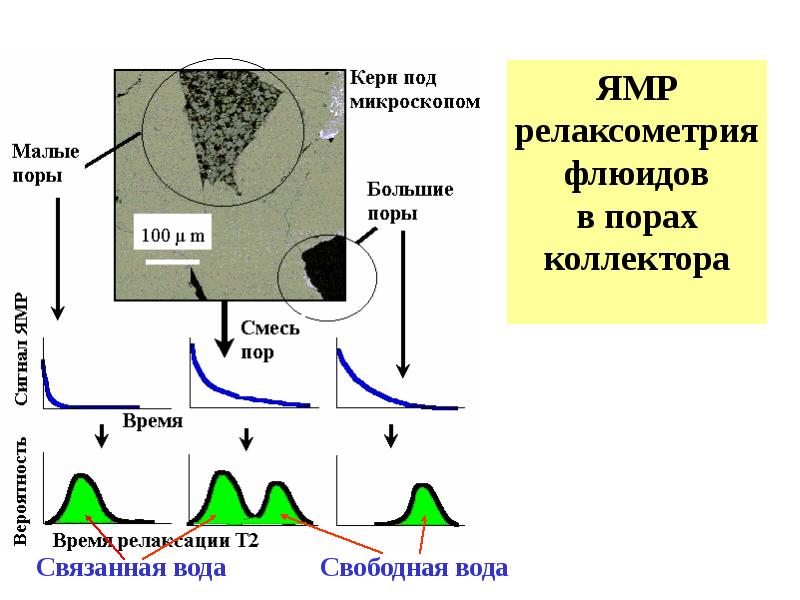 Исследование образцов керна методом ядерно магнитного резонанса