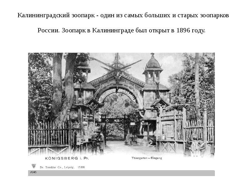 История калининградского зоопарка. Зоопарк в Калининграде 1896. Зоопарк 1896 года Калининград. Калининградский зоопарк Калининград история. Калининградский зоопарк достопримечательности Калининграда.