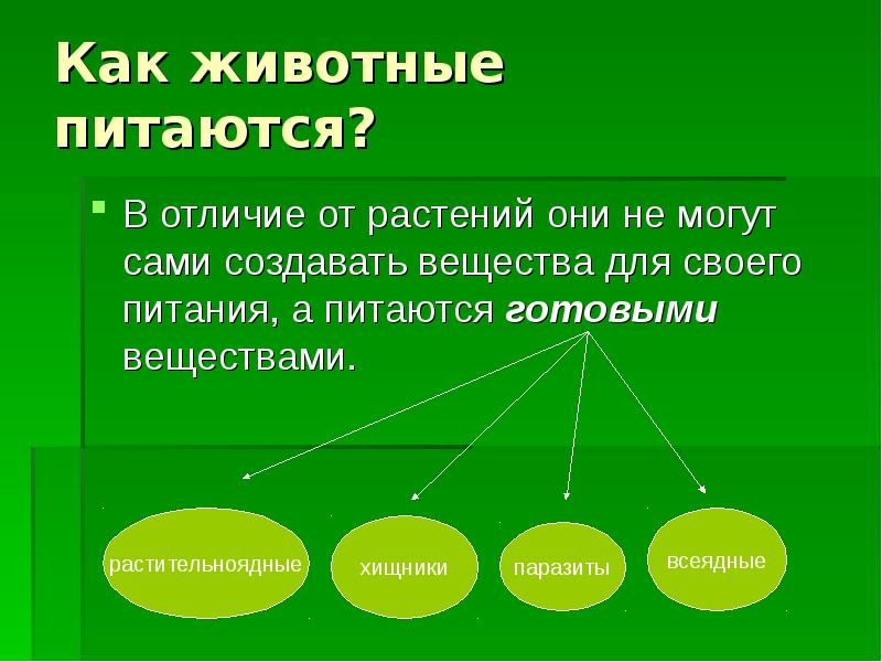 Питаются готовыми