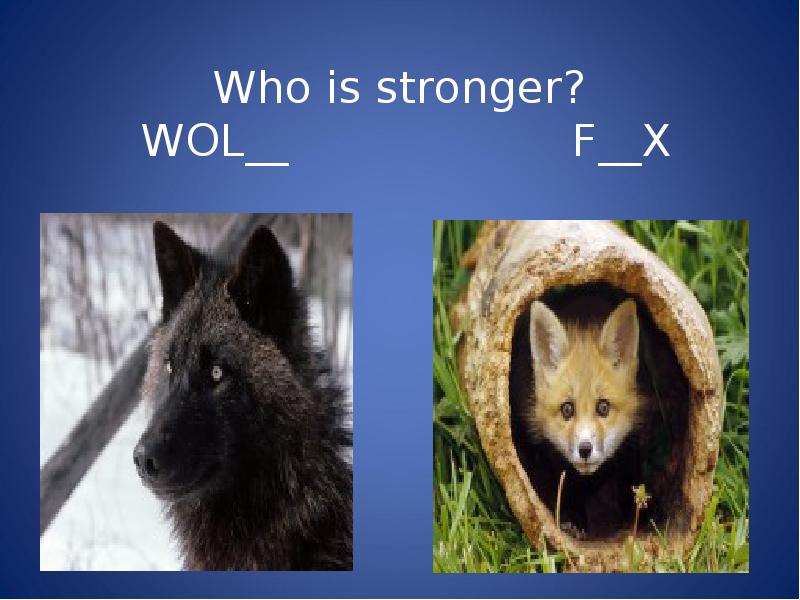 Who is stronger?  WOL__      