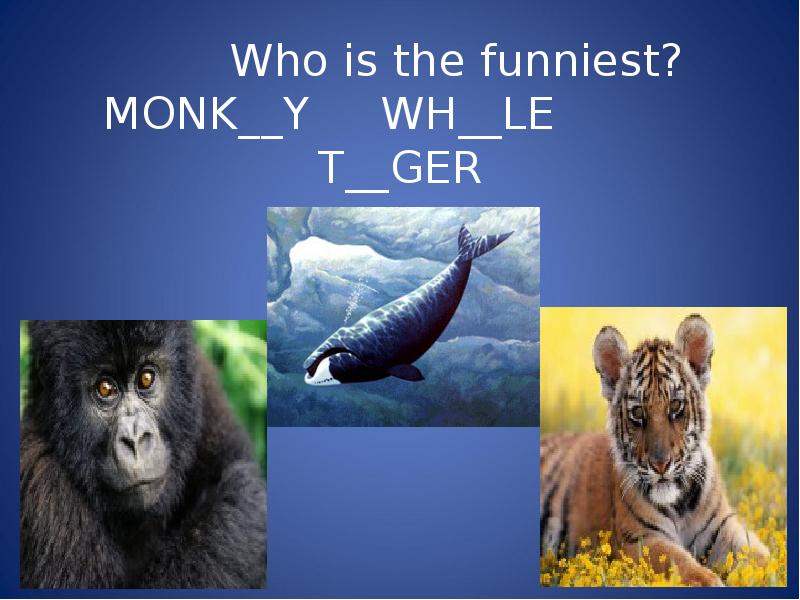 Who is the funniest? MONK__Y   WH__LE   