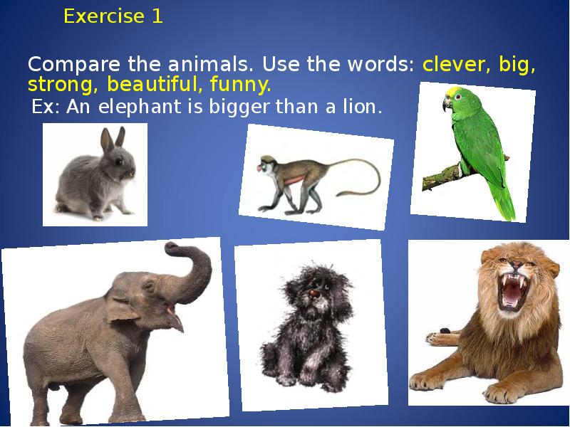 Exercise 1         