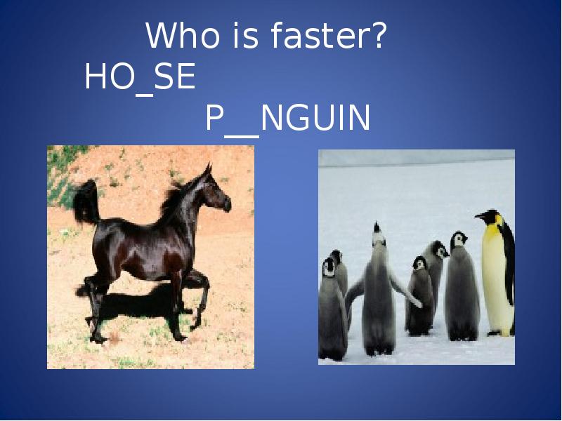 Who is faster?   HO_SE     