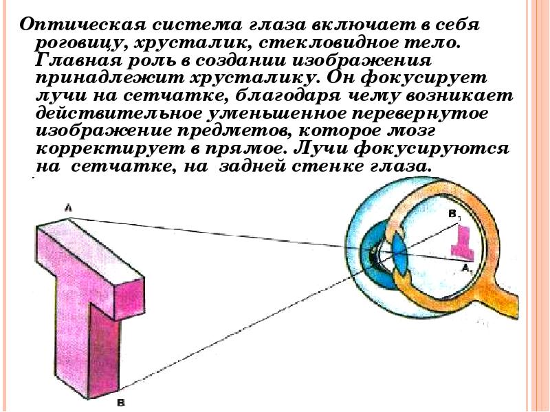 Хрусталик формирует на сетчатке реальное изображение