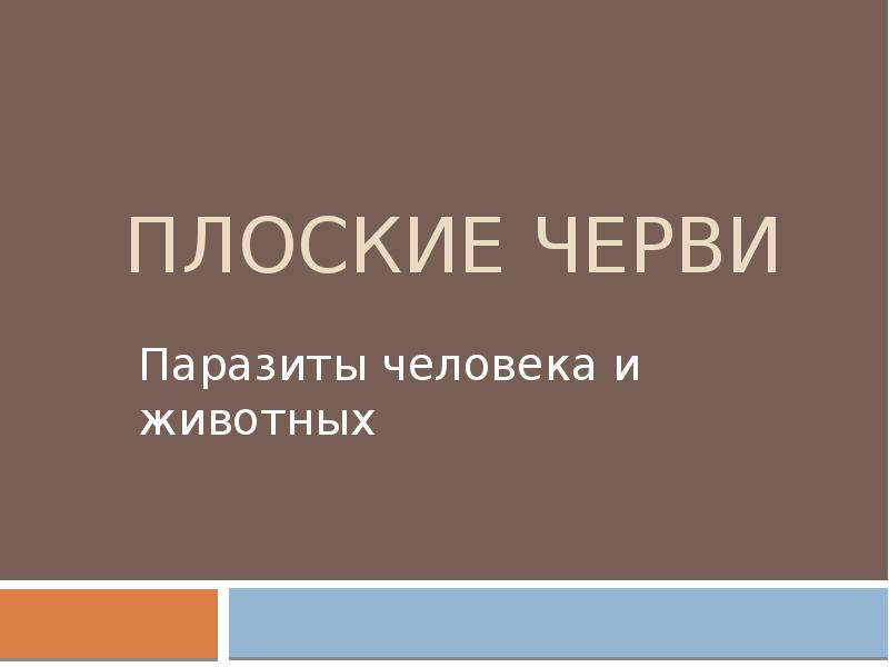 Доклад: Плоские черви