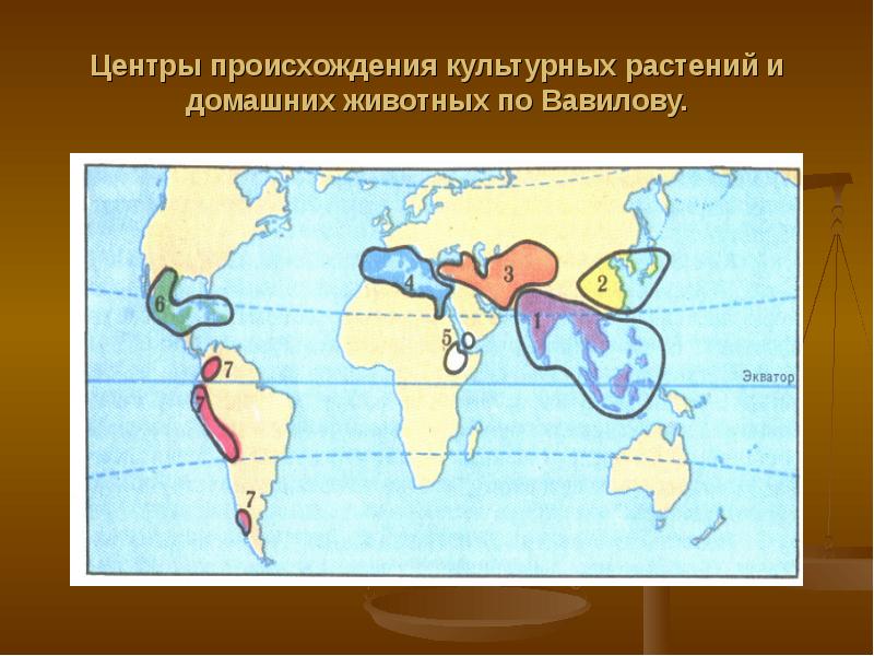 Центры происхождения культурных растений по вавилову карта