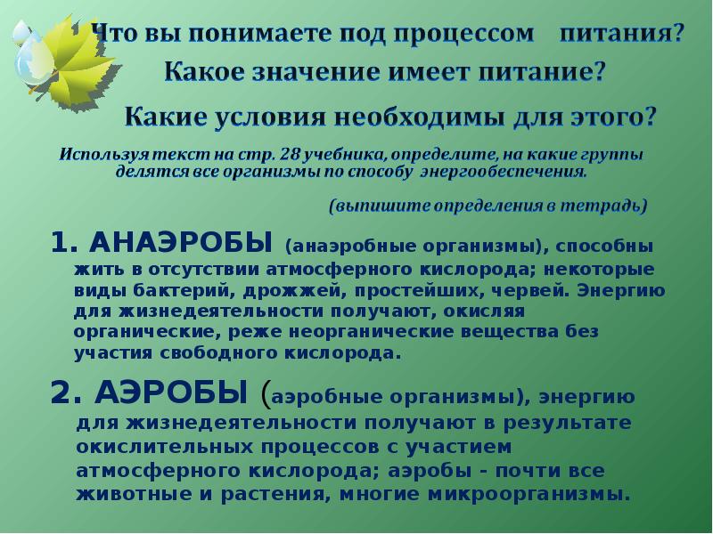 Присутствие кислорода. Организмы живущие без кислорода называются. Бактерии живущие и развивающиеся при отсутствии кислорода. Организм живущий без кислорода. Микроорганизмы умеющие жить без кислорода.