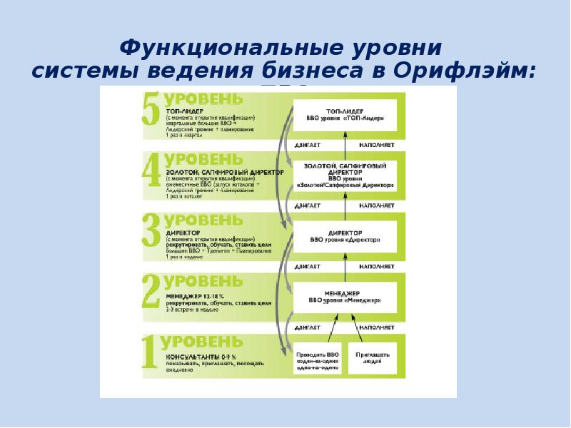 Система ведения. Система про Орифлейм. Бизнес система Орифлейм. Система бизнеса Pro Орифлэйм. Функционал в Орифлэйм.