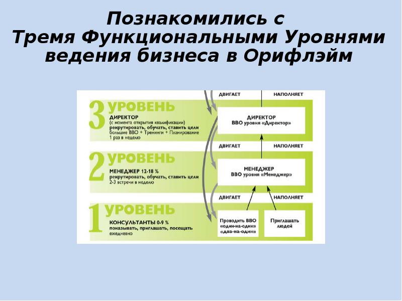 Уровни ведения. Технология ведения бизнеса доклад. Система бизнеса Pro Орифлэйм. Три вида ведения бизнеса. Система ведения большого бизнеса.