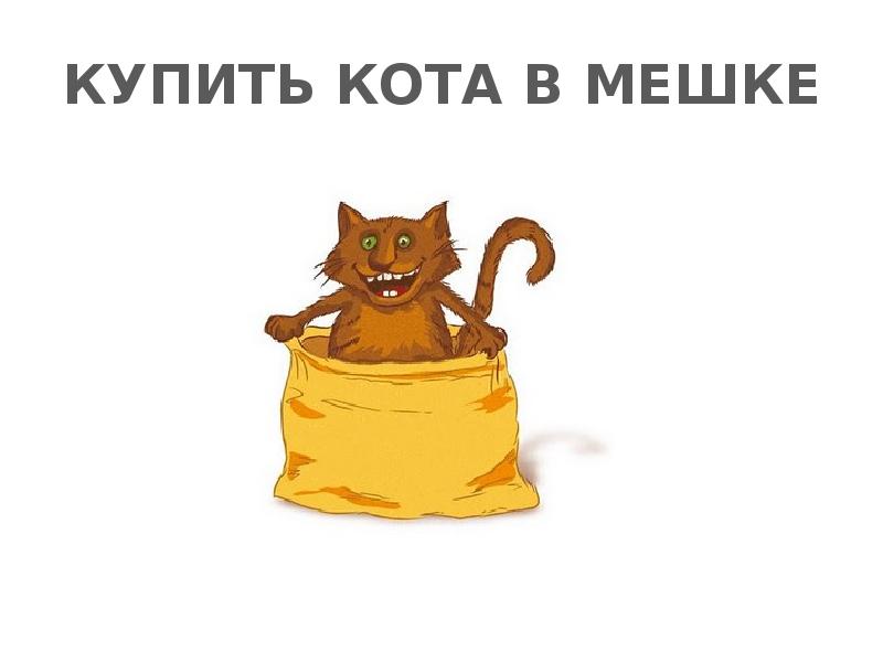 Кот в мешке. Купить кота в мешке фразеологизм. Кот в мешке фразеологизм. Купить кота в мешке. Фразеологизмы в картинках кот в мешке.