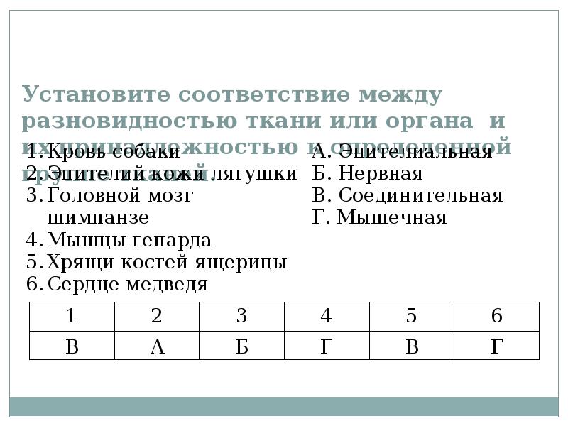 Установите соответствие между видом прямых и их изображением