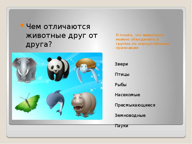 Чем отличается зверь от животного. Чем отличаются животные. Отличие животных друг от друга. Чем звери отличаются от других животных. Чем отличаются животные от зверей.