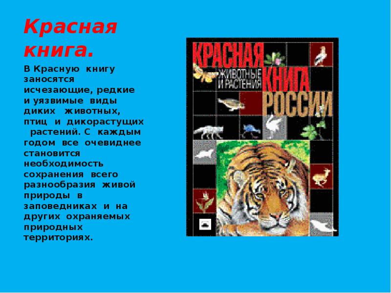 Презентация о редких и исчезающих животных