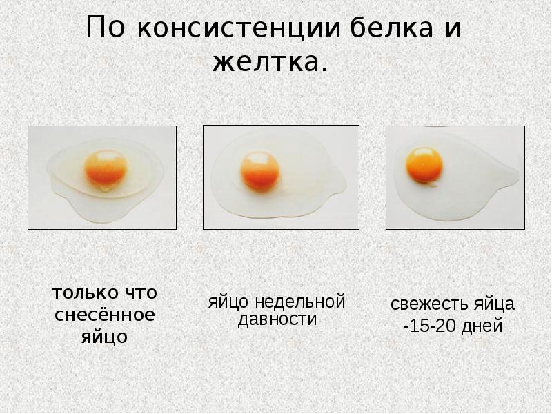 Технология приготовления блюд из яиц 5 класс презентация