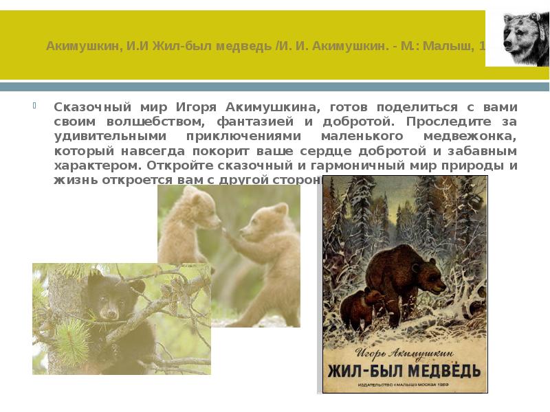 Акимушкин биография. Акимушкин медведь. Акимушкин жил был медведь. Рассказ и. Акимушкина «жил-был медведь»;. Акимушкина жил был медведь иллюстрации.