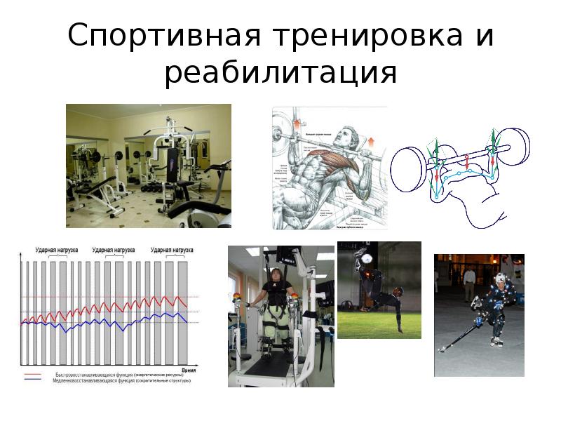 Какую функцию выполняет спорт. Схема спортивной тренировки. комплексы реабилитации презентация. что не включает в свою подготовку спортивная реабилитация?.
