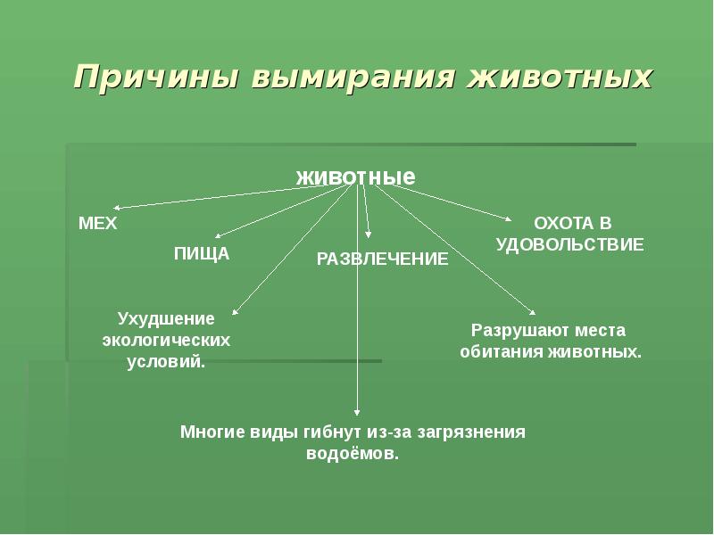 Причины вымирания видов презентация