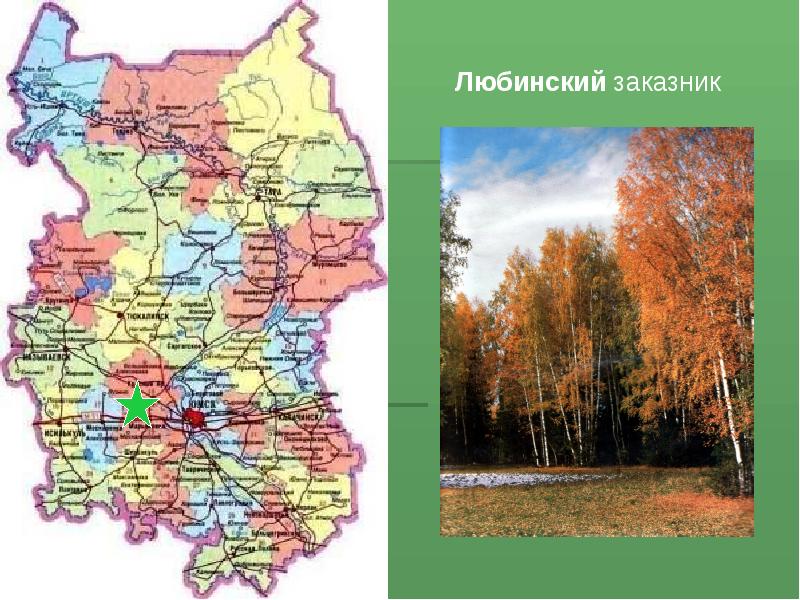Фото Омской Области Карты