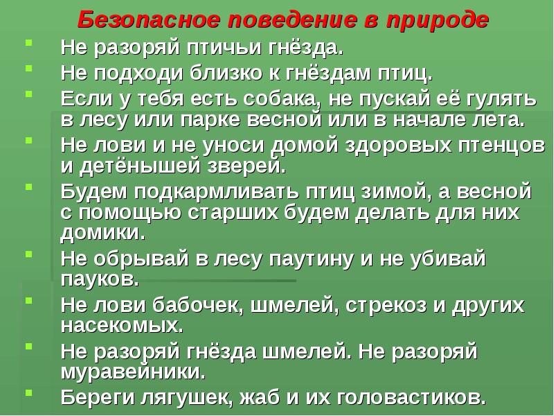 Составить памятку поведение в лесу. Безопасное поведение на природе. Правила поведения вмприроде. Правила поведения на природе. Правила безопасного поведения на природе.