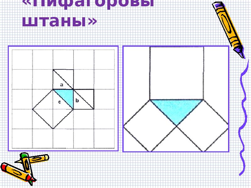 Пифагоровы штаны рисунок