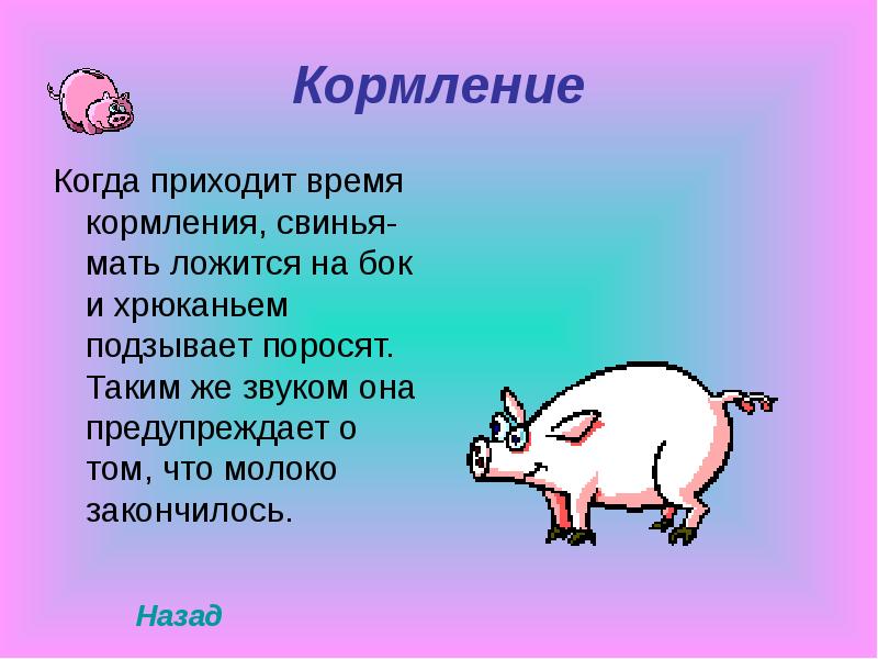 Мама поросят