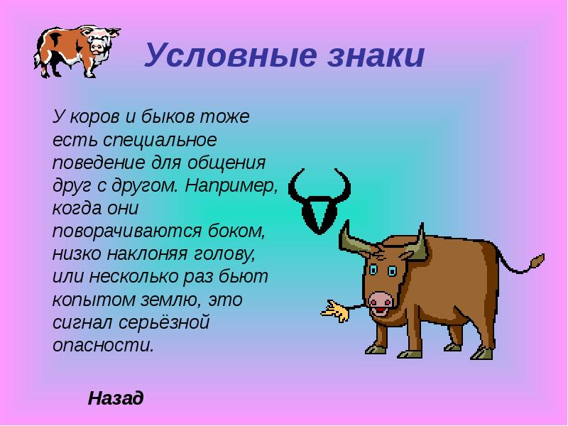Головоломка бык. Корова для презентации. Загадка про быка. Стих про быка. Стишок про корову.