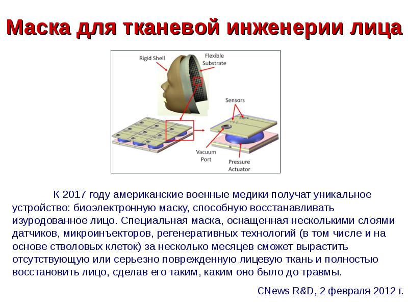 Тканевая инженерия презентация