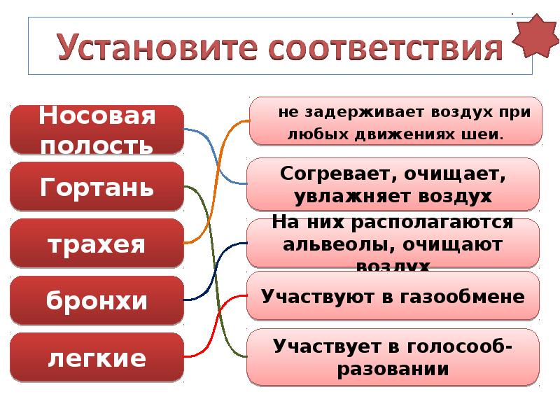 Проведение согретого очищенного воздуха в гортань