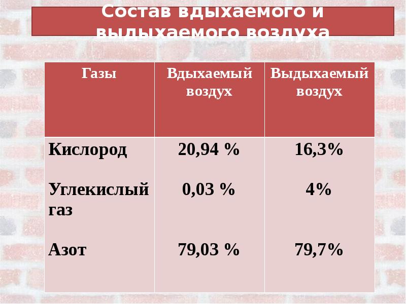 Состав вдыхаемого и выдыхаемого воздуха