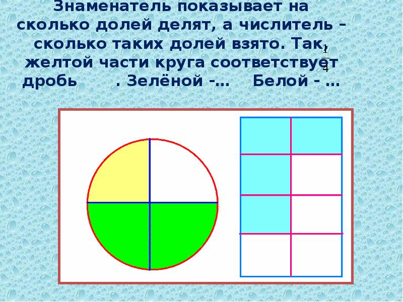 Деление долей. Знаменатель показывает на сколько долей делится.