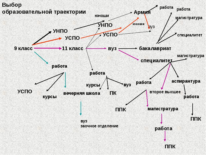 Специалитет ниже магистратуры. Разница между бакалавриатом и специалитетом и магистратурой. Разница бакалавриата и специалитета и магистратуры. Специалитет и бакалавриат разница. Разница между бакалавром и специалитетом.