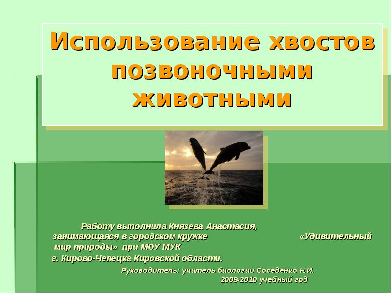 Тест позвоночные животные 7 класс. Соседенко учитель биологии. Презентация Кружка удивительный мир слова. Использование хвоста человеком. Соседенко биология.