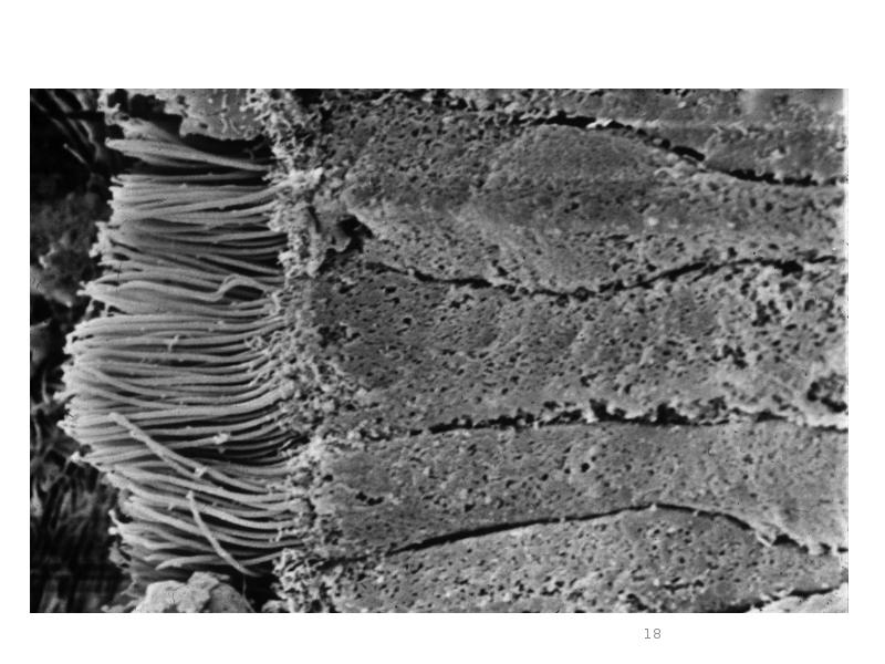 остатки актуальны