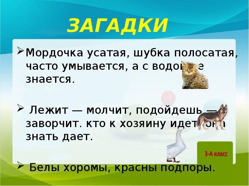 Белые хоромы красные подпоры ответ