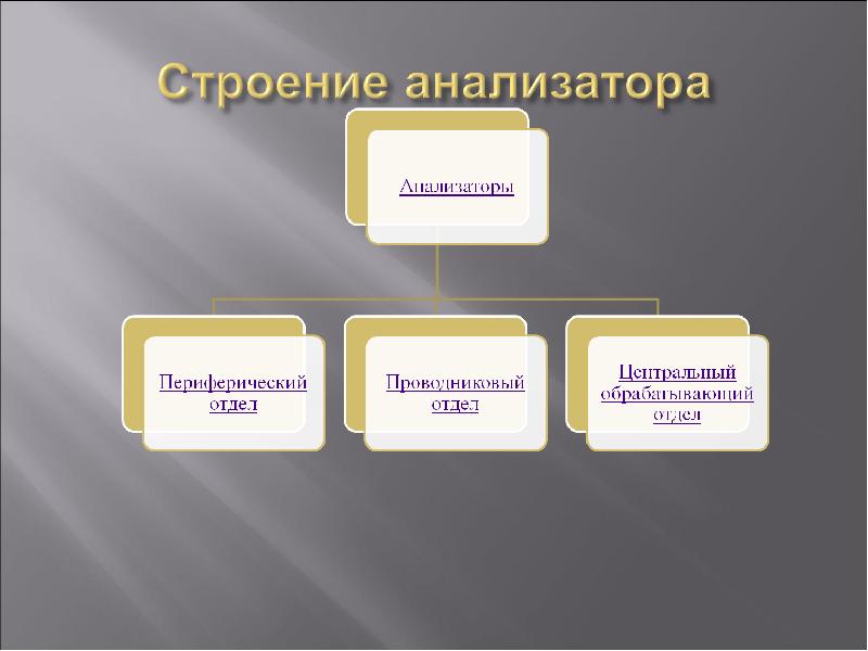 Структура анализатора. Схема строения анализатора. Схематичное строение анализатора.. Строение анализатора отдел. Общая схема строения анализаторов.