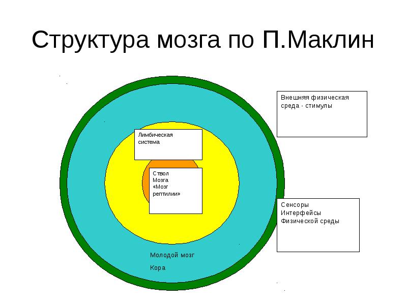 Структура пространства. Стимулы среды. Модель коммуникации Маклина. Маклин теории эмоций. Пол Маклин типология личности.