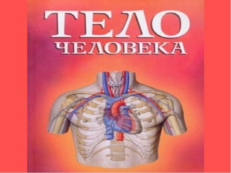 Плешаков организм человека. Тело человека 2 класс окружающий мир. Презентация тело человека 2 класс. Организм человека Плешаков 2 класс. Окружающий мир тело человека Плешаков ..